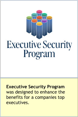 Executive Security Programwas designed to enhance the benefits for a companies top executives.